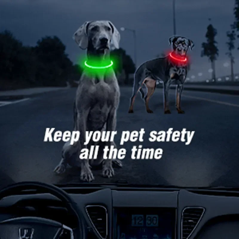 Led Light Dog Collar Detachabl - Men'S Grooming Products ulasan dan harga